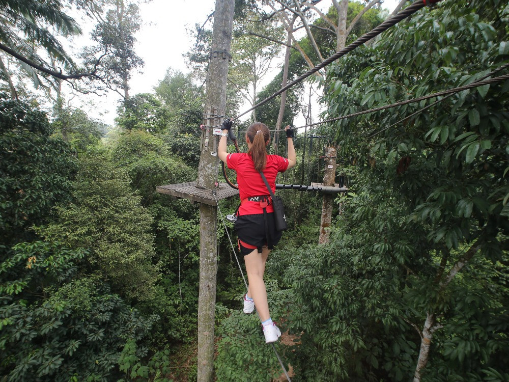 skytrex park