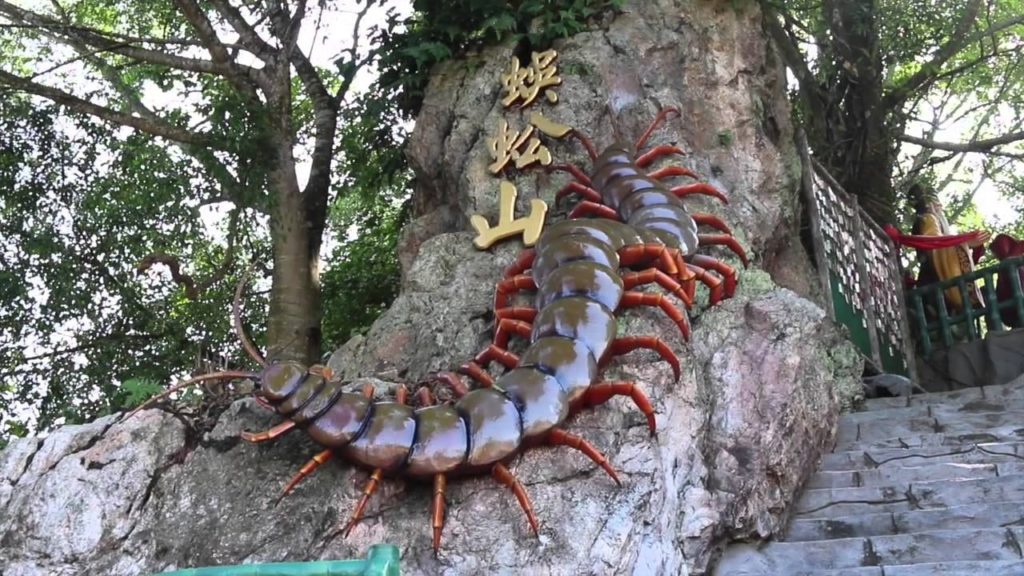 seremban-attractions-and-things-to-do-climb-the-centipede-temple