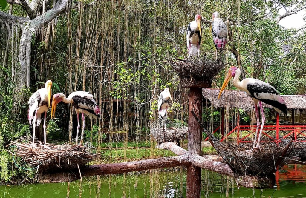 best-places-to-visit-in-penang-with-family-penang-bird-park