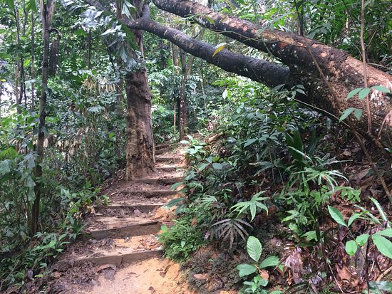 hiking-trails-in-kuala-lumpur-bukit-gasing-petaling-jaya