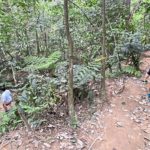hiking-trails-in-kuala-lumpur-bukit-kiara1200x600