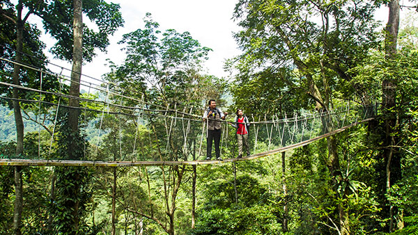 hiking-trails-in-kuala-lumpur-forest-research-institute-malaysia-frim-kepong