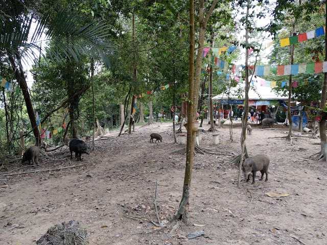 hiking-trails-in-kuala-lumpur-ketumbar-hill