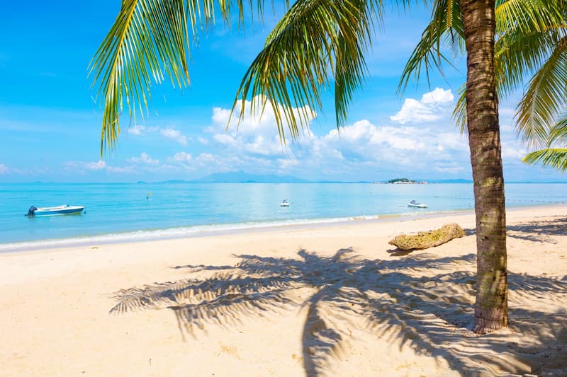 beautiful-islands-in-west-malaysia-you-can-visit-by-car-penang-island