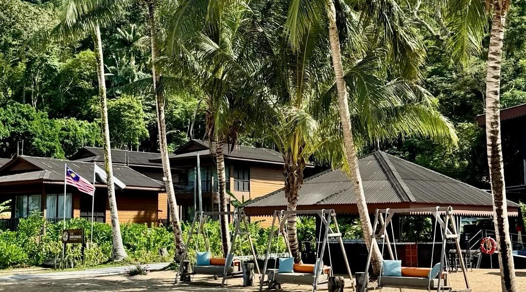 swings under palm trees, one of many things to do if you're wondering what to do in tioman