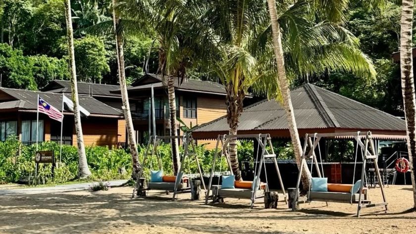 swings under palm trees, one of many things to do if you're wondering what to do in tioman