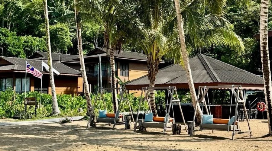 swings under palm trees, one of many things to do if you're wondering what to do in tioman